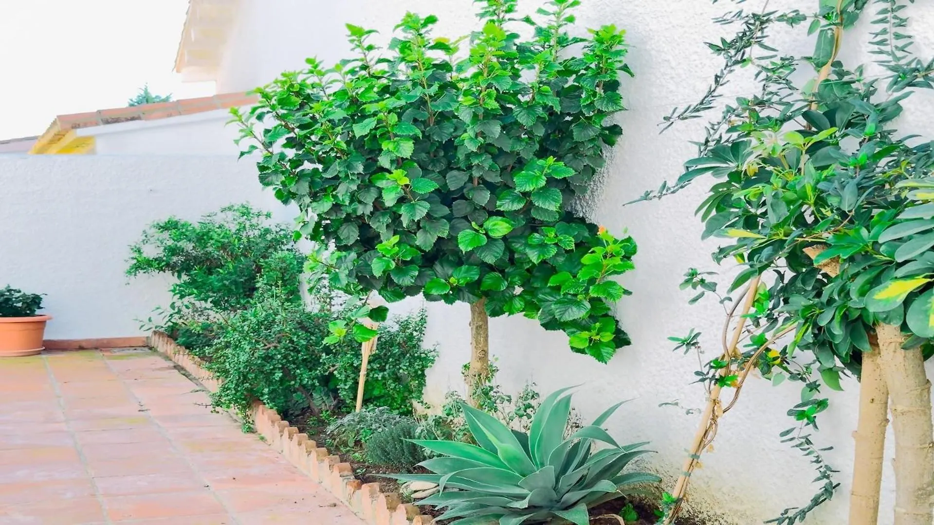 펜션 Vivienda Con Encanto Goya Nº4 베날마데나코스타